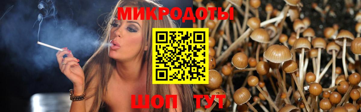 Галлюциногенные грибы прущие грибы  Галлюциногенные грибы MAGIC MUSHROOMS  Кызыл  Вход с VPN 